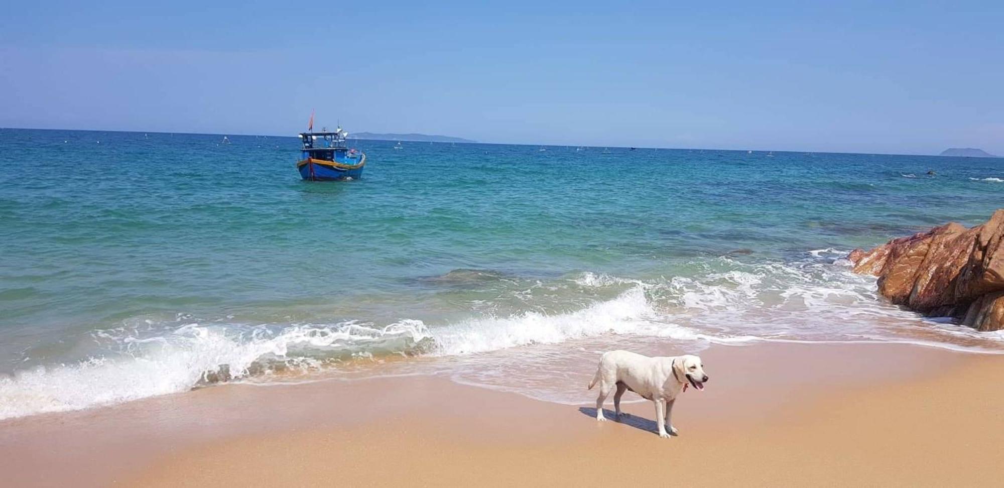 Life'S A Beach كوي نون المظهر الخارجي الصورة